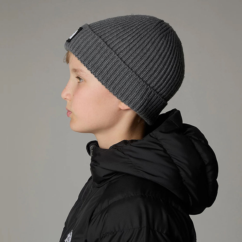 The North Face Hats Kids TNF Box Logo Recycled Cuffed Beanie Hat - Mid Grey