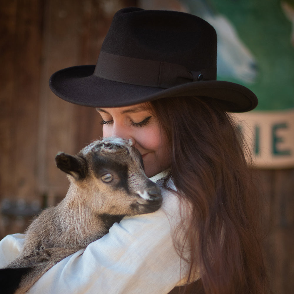 Jaxon & James Ford Fedora Brown Wholesale Pack