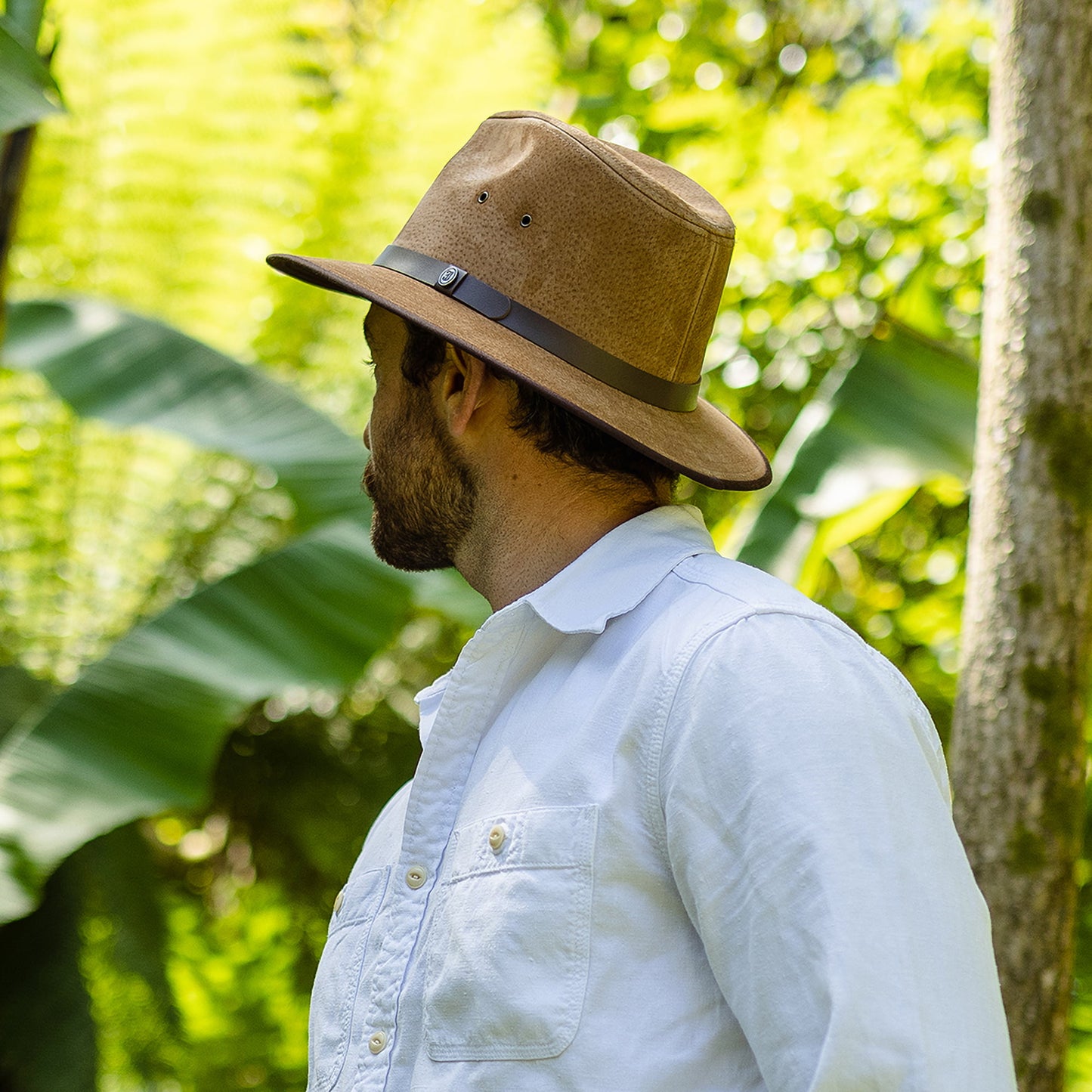 Jaxon & James Nubuck Leather Safari Fedora Chestnut Wholesale Pack