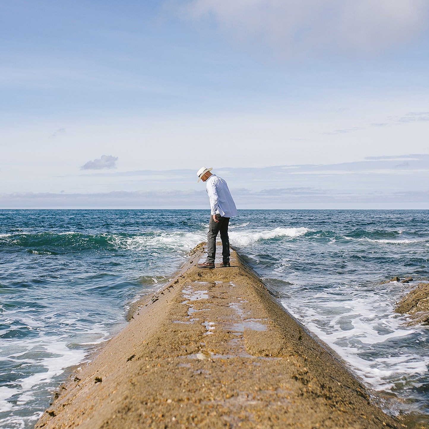 Jaxon & James Ivory Toyo Gambler Hat Wholesale Pack