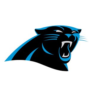 Carolina Panthers Hats