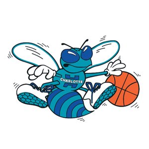 Charlotte Hornets Hats