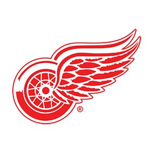 Detroit Red Wings Hats