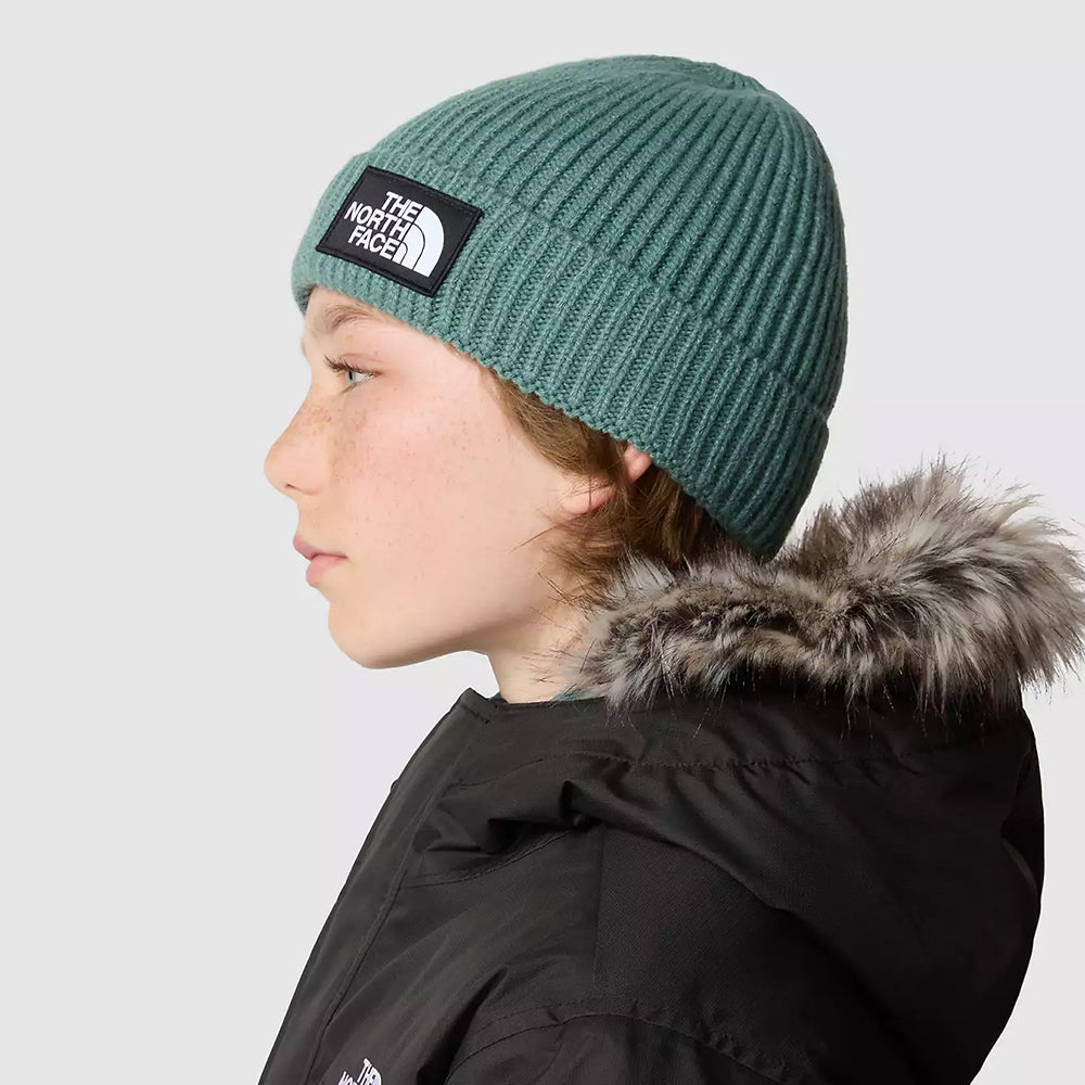 The North Face Hats Kids TNF Box Logo Cuffed Beanie Hat - Dark Sage