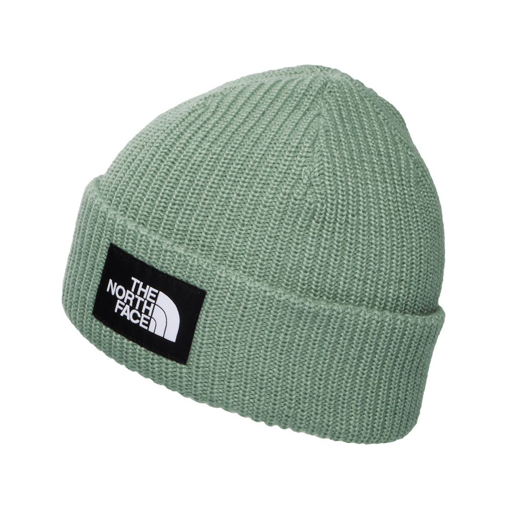 The North Face Hats Kids Salty Lined Recycled Beanie Hat - Sage
