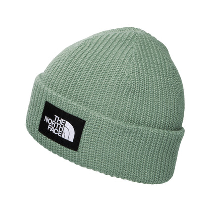 The North Face Hats Kids Salty Lined Recycled Beanie Hat - Sage