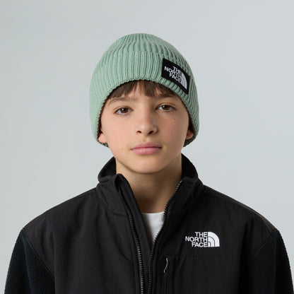The North Face Hats Kids TNF Logo Box Recycled Cuffed Beanie Hat - Sage