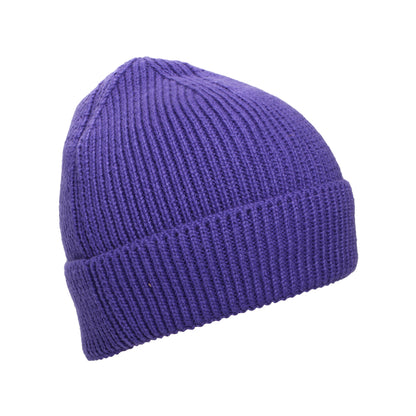 The North Face Hats TNF Logo Box Recycled Beanie Hat - Purple