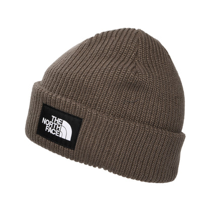 The North Face Hats Salty Lined Recycled Beanie Hat - Smoke Brown