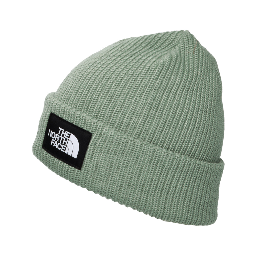 The North Face Hats Salty Lined Recycled Beanie Hat - Sage