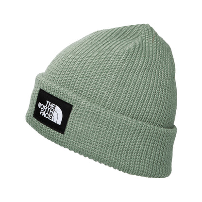 The North Face Hats Salty Lined Recycled Beanie Hat - Sage
