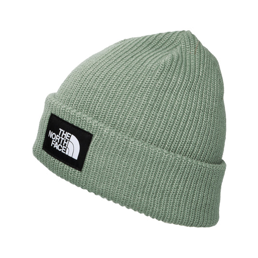 The North Face Hats Salty Lined Recycled Beanie Hat - Sage