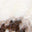 Swatch image for hat product id: 740532