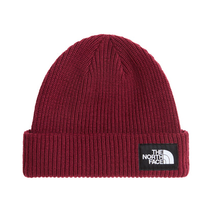 The North Face Hats Salty Lined Recycled Beanie Hat - Burgundy