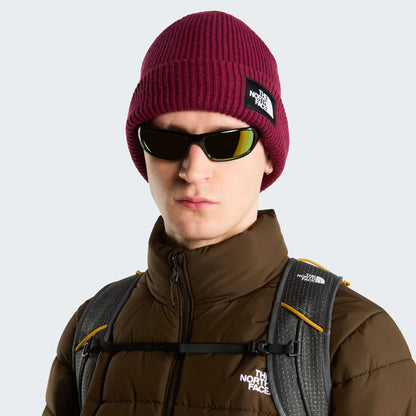 The North Face Hats Salty Lined Recycled Beanie Hat - Burgundy