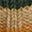 Swatch image for hat product id: 740581