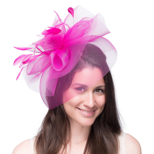 Jane Anne Designs Joanne Veil Fascinator - Fuchsia