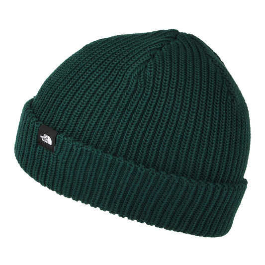 The North Face Hats TNF Recycled Fisherman Beanie Hat - Dark Green