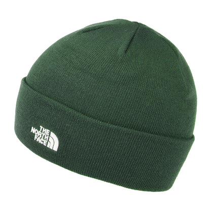The North Face Hats Norm Shallow Beanie Hat - Thyme