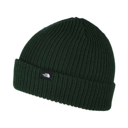 The North Face Hats TNF Recycled Fisherman Beanie Hat - Pine Green